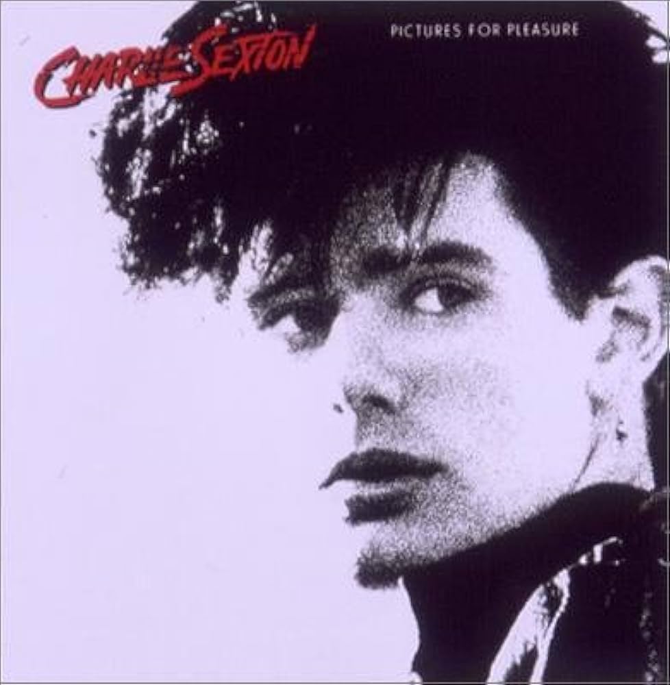 Amazon.co.jp: ピクチャーズ・フォー・プレジャー: ミュージック