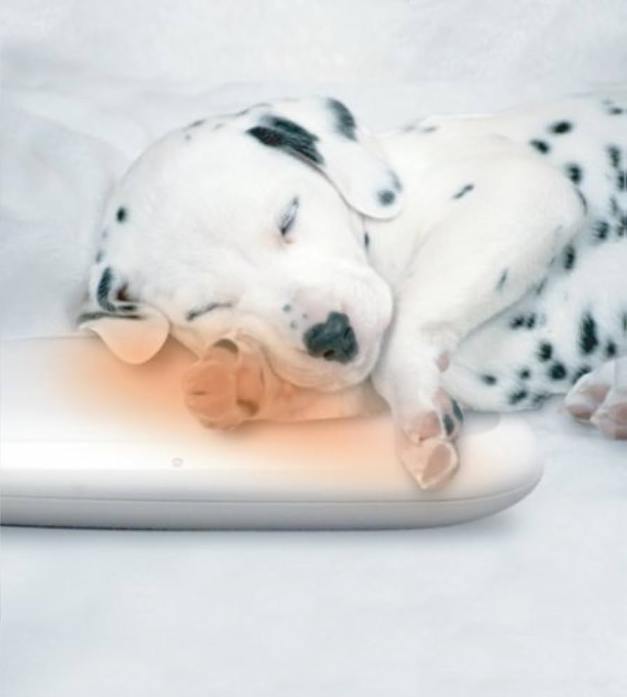 Amazon | SANYO 充電式ポータブルウォーマー 「eneloop anka