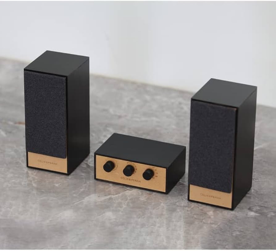 Amazon.co.jp: R4（アール4） DIYオーディオシステム DIY Audio System