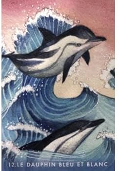 Amazon.co.jp: 水彩画の美麗デッキイルカやクジラに会える海のオラクル