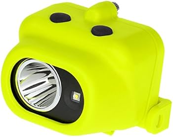 Amazon.com: Nightstick XPP-5454GC Intrinsically Safe Dual-Light