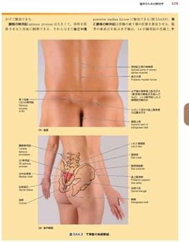 41BlvtbWONL._AC_UF350,