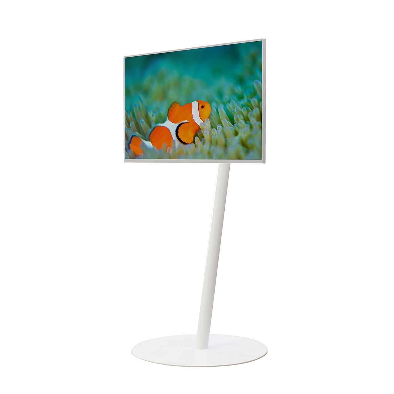 Amazon.co.jp: WALL【 グッドデザイン賞受賞 】A2 FLAT BASE テレビ