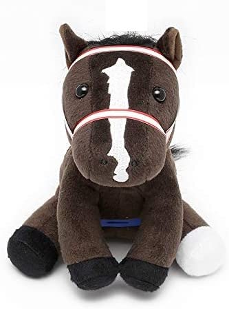 Amazon.co.jp: アイドルホース Selection 第64回 有馬記念 リス