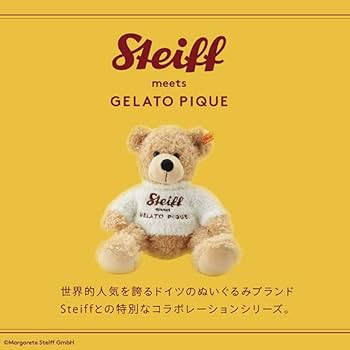 41FXCKcUGcL._AC_UF350,