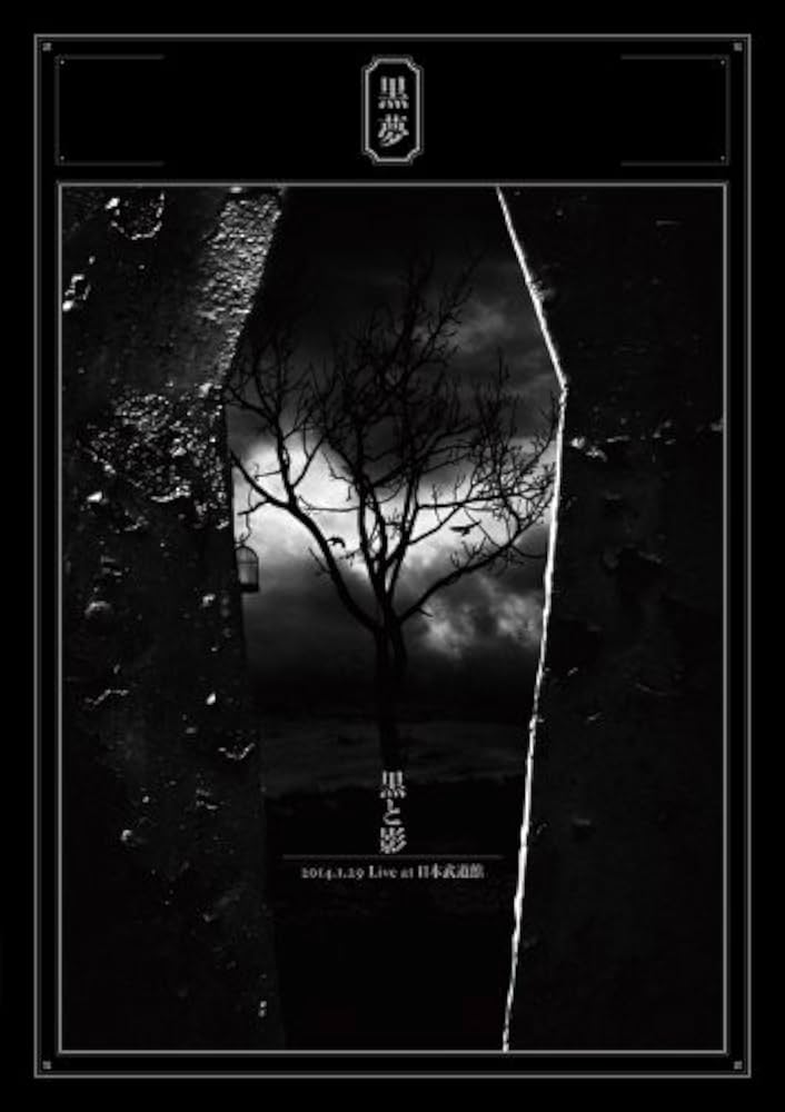 Amazon.co.jp: 黒と影 2014.1.29 Live at 日本武道館 (2枚組DVD) : 黒