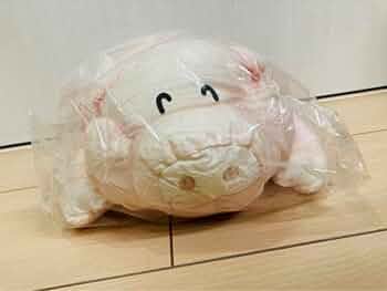 41GO-8KOhlL._AC_UF350,