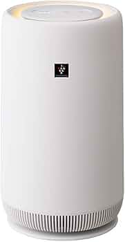 41HLaKpmhBL._AC_UF350,