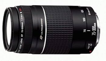 Amazon.com : Canon EF 75-300mm f/4-5.6 III Telephoto Zoom Lens for