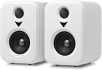 41JyYRv1P0L._AC_UF350,