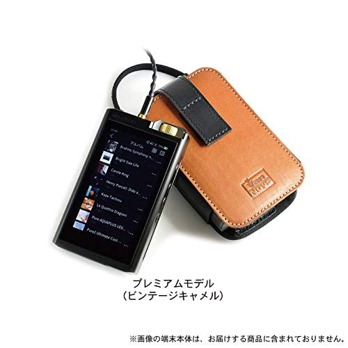 Amazon | 完全無欠 の Lotoo PAW Gold TOUCH 専用 キャリング ケース