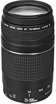 Amazon.co.jp: Canon EF 75 – 300 mm f / 4 – 5.6 III望遠ズームレンズ