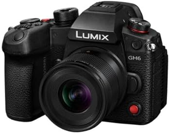 Amazon.com : Panasonic LUMIX Micro Four Thirds Camera Lens, Leica