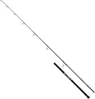 Amazon | ダイワ(DAIWA) ロッド 21 ソルティガ C 75-5 | ダイワ(DAIWA