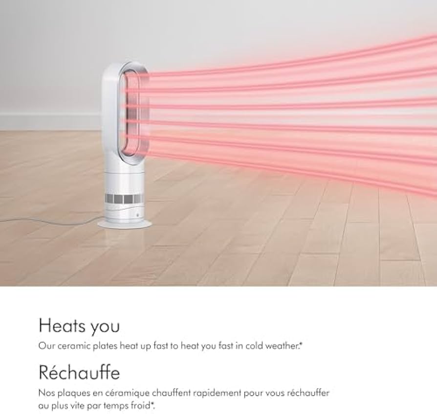 Dyson Hot+Cool Fan Heater AM09 - White : Amazon.ca: Home