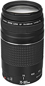 Amazon.co.jp: キャノンEF 75-300mm f/4-5.6 III 望遠ズームレンズ