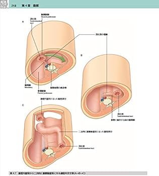 グレイ解剖学 原著第4版 電子書籍付(日本語・英語) | Richard L.Drake