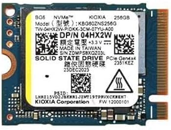 Amazon.com: Oemgenuine Kioxi 256GB M.2 PCI-e NVME GEN4X4 SSD