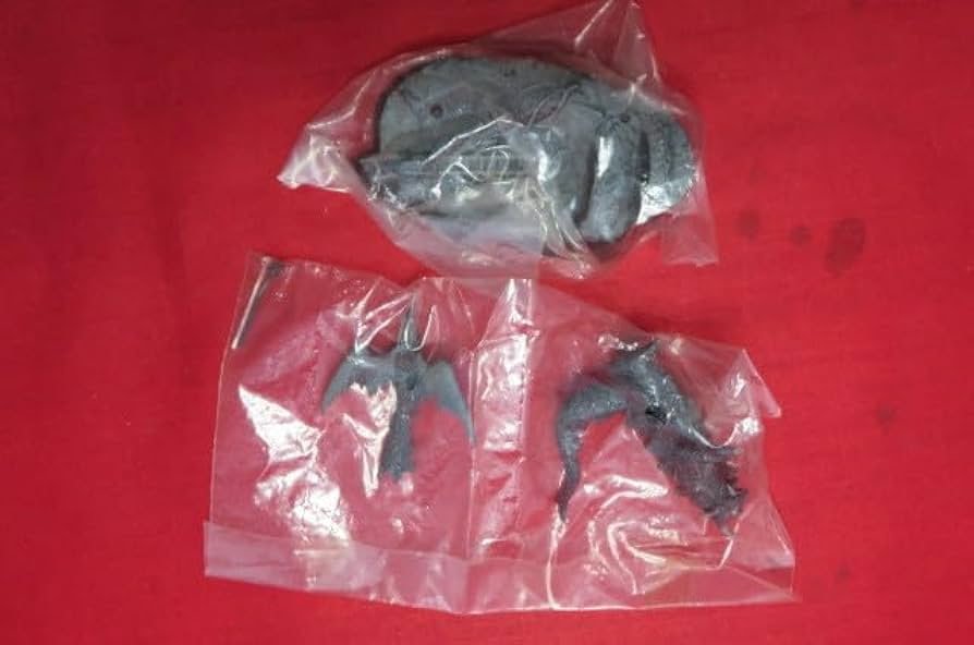 Amazon.co.jp: 即決 未開封 ウルトラ怪獣戯画 ゴメスを倒せ！ ゴメス