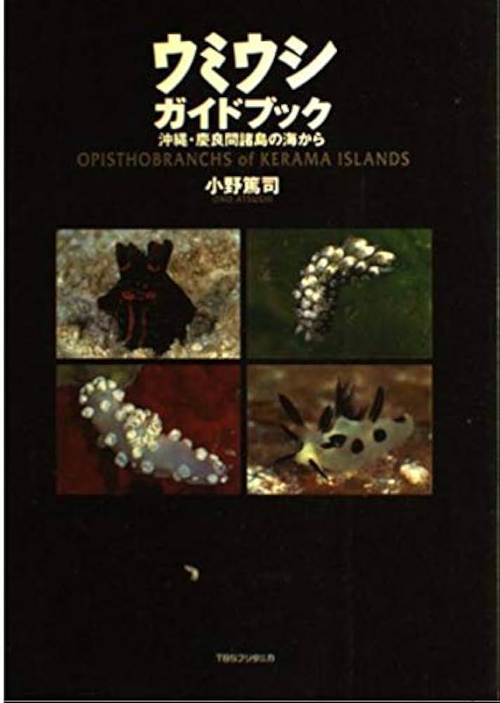 インド太平洋のウミウシ ガイドブック Nudibranchs 洋書 インド太平洋