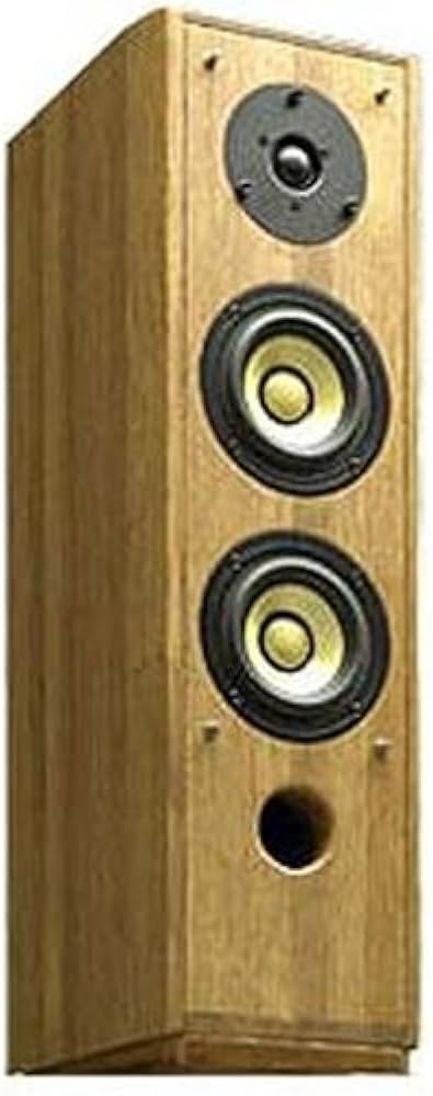 Amazon.co.jp: パイオニア ピュアモルトスピーカー S-PM300 : 家電＆カメラ