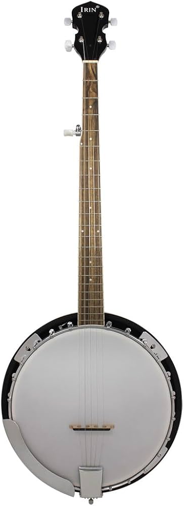 Amazon.co.jp: バンジョー バンジョー 5弦バンジョー 洋楽 ダブ