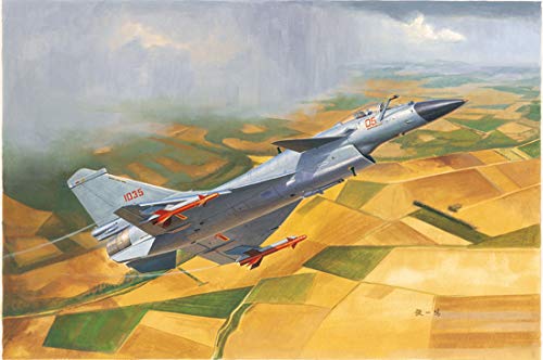 Amazon | トランペッター 1/72 中国空軍 J-10S複座型戦闘機 プラモデル
