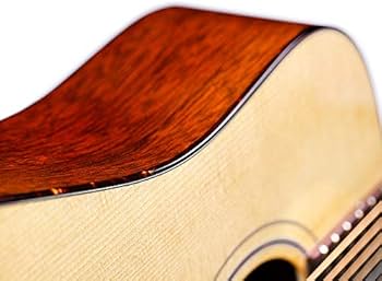 Amazon.co.jp: GUILD USA製 ドレッドノート D-40 TRADITIONAL NAT