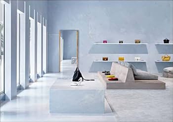 Amazon.com: Built: by Valerio Olgiati: 9783038602835: Olgiati