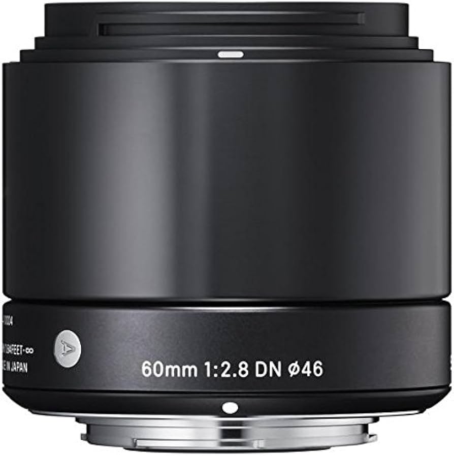 Amazon.com : Sigma 60mm F2.8 EX DN Art (Black) for Micro 4/3