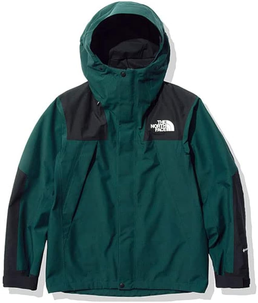 Amazon | THE NORTH FACE ノースフェイス ゴアテックス マウンテン