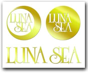 41e5xOTQKSL._AC_UF350,