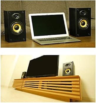 Amazon.co.jp: 【安心の国内サポート】 MS-210J (2台ペア) アンプ搭載