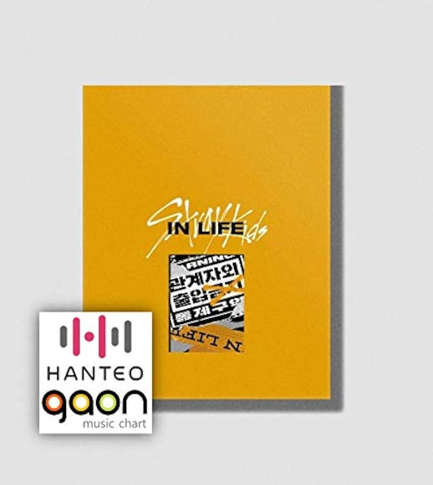 Amazon.co.jp: STRAY KIDS - IN生 IN LIFE[スタンダードVer.-Bタイプ