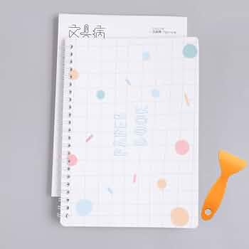 Amazon | A5 両面剥離タイプ シール帳 収集アルバム 再利用可能