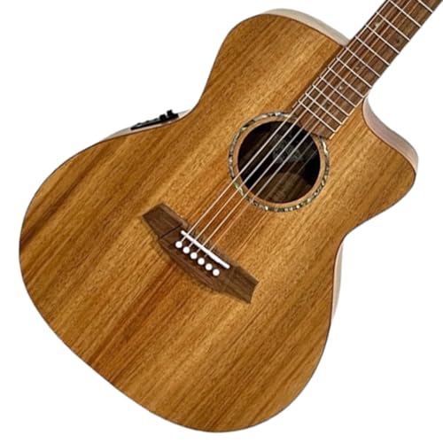 アコースティック ギター コールクラーク」の人気商品一覧 | 安い商品