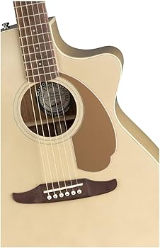 Amazon | Fender エレアコ Newporter Player, Champagne ソフトケース