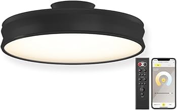 Amazon.co.jp: Edison Smart Dual Ceiling Light (For Hanging Ceiling
