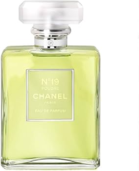 Amazon.com : Chanel 19 Poudre By Chanel Eau De Parfum Spray 3.4 Oz
