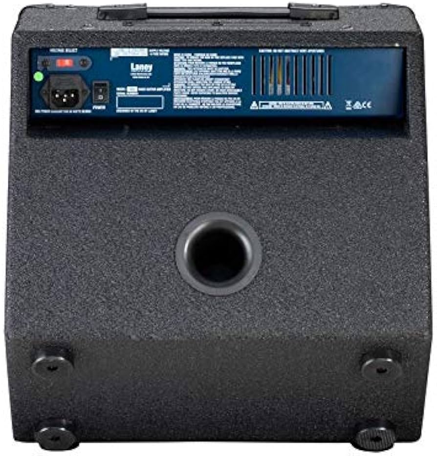 Amazon.co.jp: Laney (レイニー) ベースアンプ RB2 : 楽器・音響機器