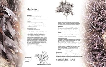 Irish Seaweed Kitchen (The comprehensive guide to healthy everyday