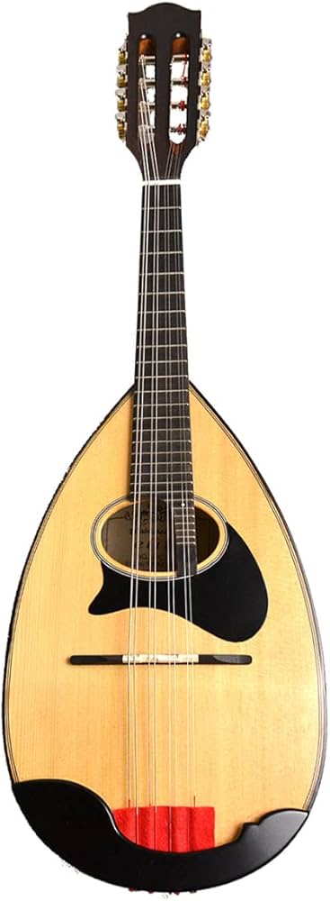 Amazon.co.jp: Ena エナ マンドリン EM-40 : Musical Instruments