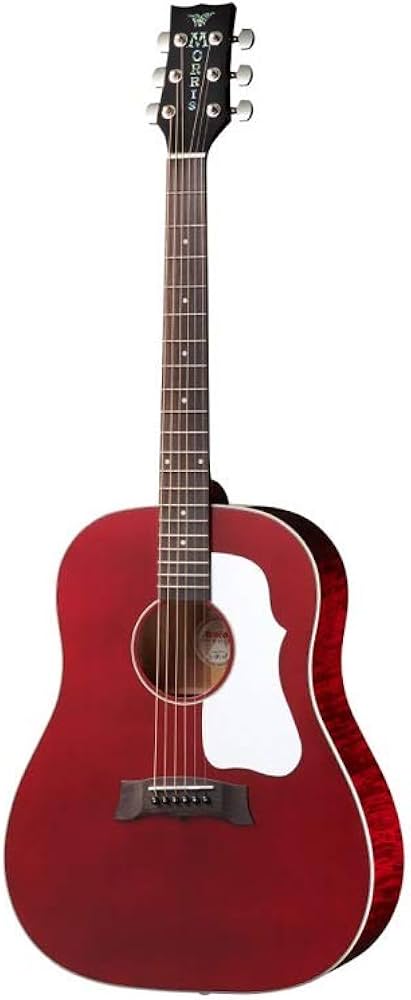 Amazon | Morris/G-021 WR モーリス アコースティックギター