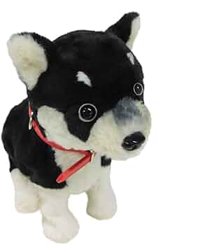 516QR42LB8S._AC_UF350,