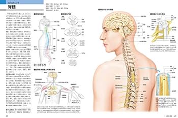 新版 からだの地図帳 (地図帳・ナース) | 佐藤 達夫 |本 | 通販 | Amazon