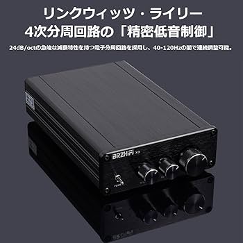 Amazon.co.jp: EGAOJP TPA3255 600W モノラル サブウーファー用