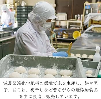 Amazon.co.jp: みやこがねもち100％）みどり会 んだ！ずんだ餅 お餅5個