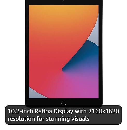 Amazon.com : Apple iPad (10.2-inch, Wi-Fi, 128GB, 8th Generation