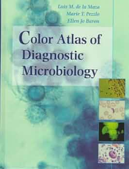 518D4DD6SHL._AC_UF350,