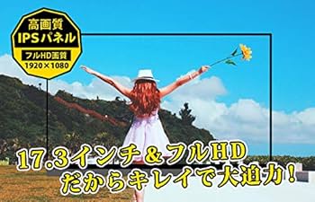 Amazon.co.jp: モバイルモニター フルHD 17.3インチ 3年保証 WT-173SF